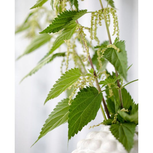 Šfarìa - Crème à mains aromatique