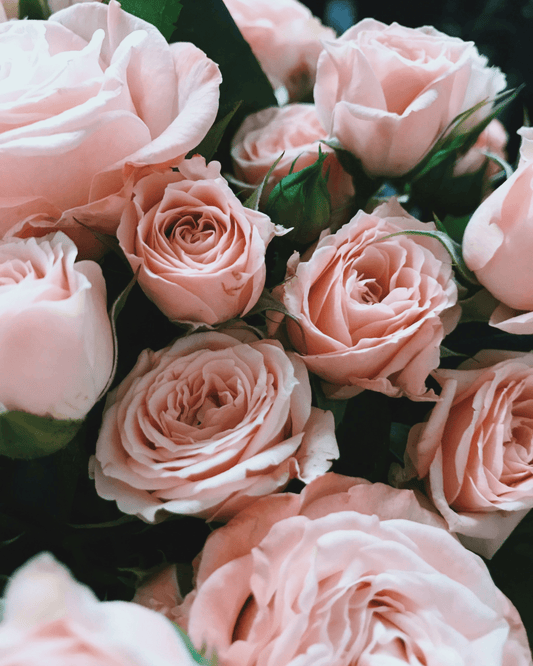 Giardino Segreto - Eau de Parfum for Women - 100 ml